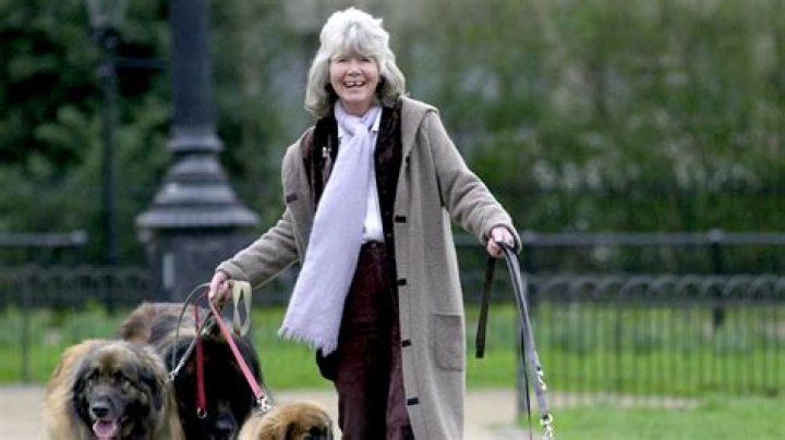 Pat Cooper Net Worth At The Time of Death